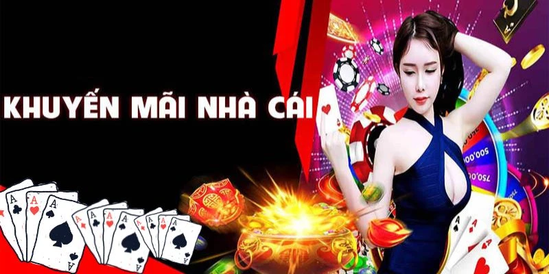 cần xem xét kỹ điều khoản của nhà cái trước khi tham gia
